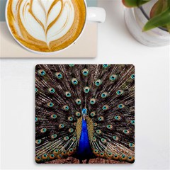 Peacock Uv Print Square Tile Coaster  by Ket1n9