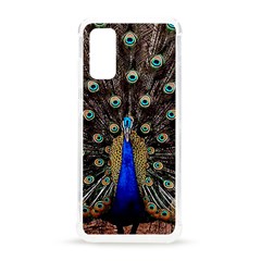 Peacock Samsung Galaxy S20 6 2 Inch Tpu Uv Case by Ket1n9