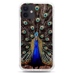 Peacock Iphone 12 Mini Tpu Uv Print Case	 by Ket1n9