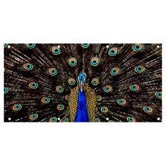 Peacock Banner And Sign 8  X 4  by Ket1n9