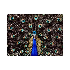 Peacock Premium Plush Fleece Blanket (mini) by Ket1n9