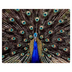 Peacock Premium Plush Fleece Blanket (medium) by Ket1n9