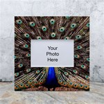 Peacock White Box Photo Frame 4  x 6  Front