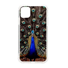 Peacock Iphone 11 Tpu Uv Print Case by Ket1n9