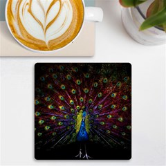 Beautiful Peacock Feather Uv Print Square Tile Coaster  by Ket1n9