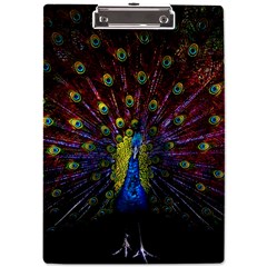 Beautiful Peacock Feather A4 Acrylic Clipboard by Ket1n9