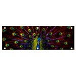 Beautiful Peacock Feather Banner and Sign 6  x 2  Front