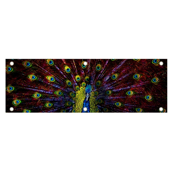 Beautiful Peacock Feather Banner and Sign 6  x 2 