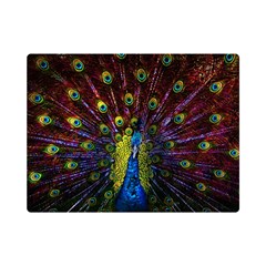 Beautiful Peacock Feather Premium Plush Fleece Blanket (mini) by Ket1n9