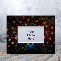 Beautiful Peacock Feather White Tabletop Photo Frame 4 x6  by Ket1n9