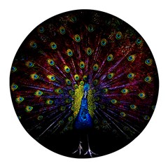 Beautiful Peacock Feather Round Glass Fridge Magnet (4 Pack) by Ket1n9