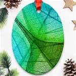 Sunlight Filtering Through Transparent Leaves Green Blue Oval Ornament (Two Sides) Back