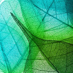 Sunlight Filtering Through Transparent Leaves Green Blue Play Mat (rectangle) by Ket1n9