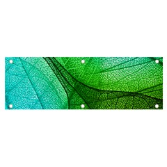 Sunlight Filtering Through Transparent Leaves Green Blue Banner And Sign 6  X 2  by Ket1n9