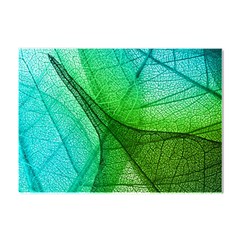 Sunlight Filtering Through Transparent Leaves Green Blue Crystal Sticker (a4) by Ket1n9