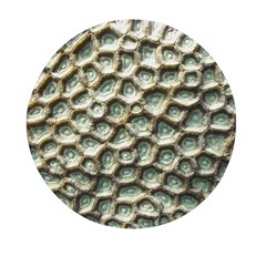 Ocean Pattern Mini Round Pill Box (pack Of 5)