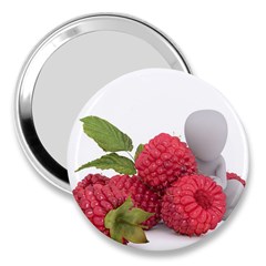 Fruit-healthy-vitamin-vegan 3  Handbag Mirrors by Ket1n9