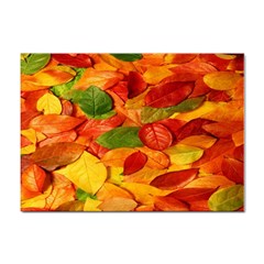 Leaves Texture Sticker A4 (10 Pack) by Ket1n9