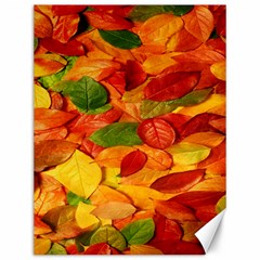 Leaves Texture Canvas 12  X 16  by Ket1n9