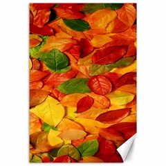 Leaves Texture Canvas 24  X 36  by Ket1n9