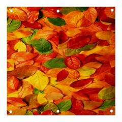 Leaves Texture Banner And Sign 3  X 3  by Ket1n9