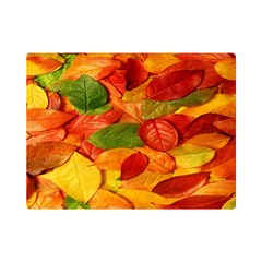 Leaves Texture Premium Plush Fleece Blanket (mini) by Ket1n9