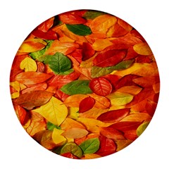 Leaves Texture Round Glass Fridge Magnet (4 Pack) by Ket1n9