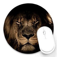 African-lion-mane-close-eyes Round Mousepad by Ket1n9