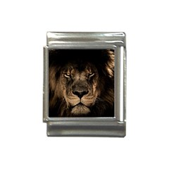 African-lion-mane-close-eyes Italian Charm (13mm) by Ket1n9