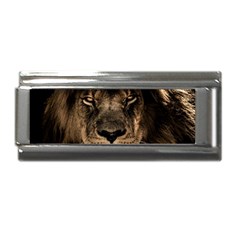 African-lion-mane-close-eyes Superlink Italian Charm (9mm) by Ket1n9