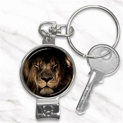 African-lion-mane-close-eyes Nail Clippers Key Chain by Ket1n9