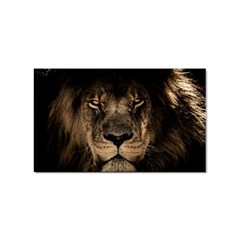 African-lion-mane-close-eyes Sticker Rectangular (100 Pack) by Ket1n9