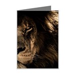 African-lion-mane-close-eyes Mini Greeting Card Left