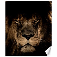 African-lion-mane-close-eyes Canvas 8  X 10  by Ket1n9