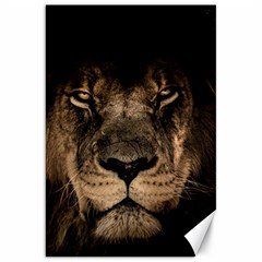 African-lion-mane-close-eyes Canvas 20  X 30  by Ket1n9