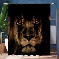 African-lion-mane-close-eyes Shower Curtain 60  X 72  (medium)  by Ket1n9