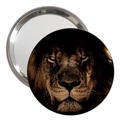 African-lion-mane-close-eyes 3  Handbag Mirrors by Ket1n9