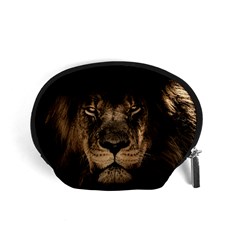 African-lion-mane-close-eyes Accessory Pouch (small) by Ket1n9