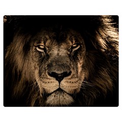 African-lion-mane-close-eyes Two Sides Premium Plush Fleece Blanket (medium) by Ket1n9