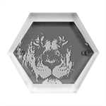 African-lion-mane-close-eyes Hexagon Wood Jewelry Box Front