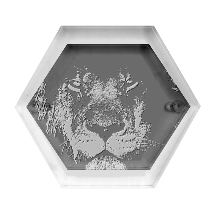 African-lion-mane-close-eyes Hexagon Wood Jewelry Box