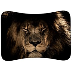 African-lion-mane-close-eyes Velour Seat Head Rest Cushion by Ket1n9