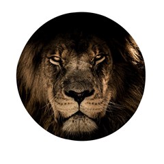 African-lion-mane-close-eyes Mini Round Pill Box by Ket1n9