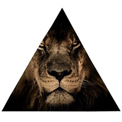 African-lion-mane-close-eyes Wooden Puzzle Triangle by Ket1n9