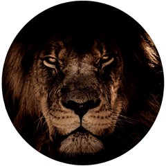 African-lion-mane-close-eyes Uv Print Round Tile Coaster by Ket1n9