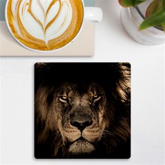 African-lion-mane-close-eyes Uv Print Square Tile Coaster  by Ket1n9