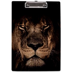 African-lion-mane-close-eyes A4 Acrylic Clipboard by Ket1n9