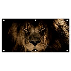 African-lion-mane-close-eyes Banner And Sign 4  X 2  by Ket1n9