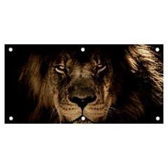 African-lion-mane-close-eyes Banner And Sign 6  X 3  by Ket1n9