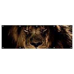 African-lion-mane-close-eyes Banner And Sign 12  X 4  by Ket1n9